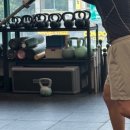 무브릿지 이미지