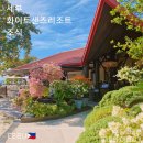 ​아이랑 세부여행 화이트샌즈 리조트 조식 메뉴 &amp; 루프탑바 야경 맛집 정리