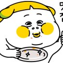 예이소피 이미지