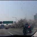 센트럴파크(방문자 센터) 이미지