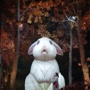 봄빛치과의원 이미지