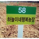 하늘이네 농장 이미지