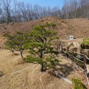 지수목장 이미지