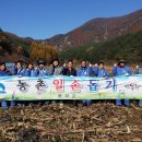 농협 석포지점 이미지