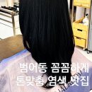 새대구미용실 | [대구 범어동] '하우룸헤어 범어점' 대구 범어동 미용실 흑발 염색 후기 ! 노란끼 확 잡고 쿨한 블랙...