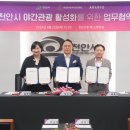 아라리오 이미지