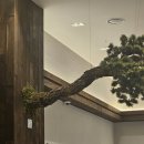 신기면옥 | 광화문면옥 가오픈 평양냉면&amp;한우곰탕&amp;만두 후기