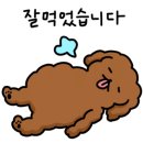 카츠모토 이미지