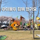 송이조각공원 화장실 | 양양 아이랑 가볼만한 곳 양양송이조각공원 벚꽃개화현황