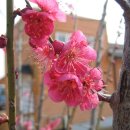 정미농장 이미지