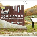 추원모차골 이미지