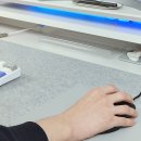 마우스2 이미지