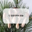 서울민트치과의원 이미지