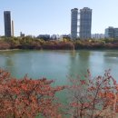 석촌새마을 이미지