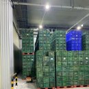 와이즈팜 이미지