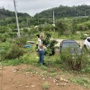 단이농장 이미지