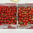 장수지역자활센터 이미지