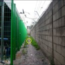 엘에스로45번길 이미지