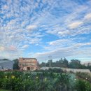 월드오일 | 육즙 가득 스테이크와 새우오일파스타! 제주신화월드맛집 /카우보이스테이크하우스 후기