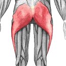 다이나믹 짐 이미지