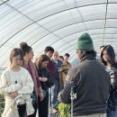 태안농장 이미지