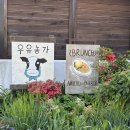 태신인테리어 | 🐄 충청도 예산 5월의 아그로랜드 태신목장 후기｜체험·카페·근처 숙소 까지 알차게 즐긴 하루