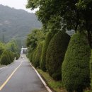 솔방솔방 이미지