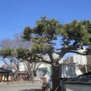 동천 수변공원 이미지