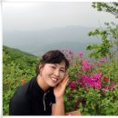 두리서 이미지