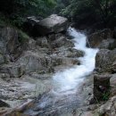 중원-18 Daum카페