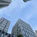 자양세탁소 | 팬텀의 첫 독립 일대기(오피스텔 임장부터 계약까지 생생한 경험담!)