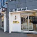 엔젤펫애견샵 이미지