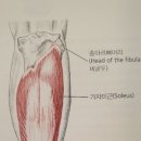 정강한의원 네이버블로그