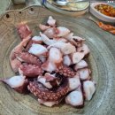 제주깊은바당 | 자연산 회 맛집 : 제주 깊은바당 자연산 돌돔 후기(2025. 7. 12)