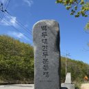 '금대봉~대덕산~검룡소‘후회없는 야생화 트레킹 후기(2026.5.13)
