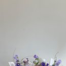 꽃;마음담다 이미지