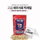 쉬림프쥬 네이버블로그