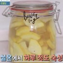 황금호박