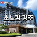 소노벨 경주 | 경주 소노캄 (구 소노벨) 디럭스스위트A타입 후기 인피니티풀 스파 보문호수 뷰 맛집 가족여행 호텔 추천