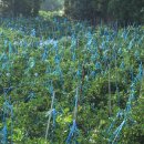 회수동-5 이미지