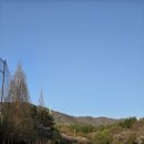 (주)보고플레이 | 코오롱 가든 골프장 경주 9홀 노캐디 2인 플레이 가격 및 사우나 후기