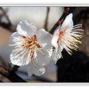 상동공원 이미지