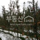 신암면010 이미지