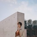 디자인쁘렝땅 - 북구 당수골15길 66 | 디자인쁘렝땅