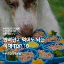튼튼야채