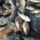 천우수산 이미지