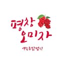 평창오미자영농조합법인 이미지