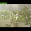 더 베네핏 이미지