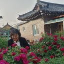 숲머리민박