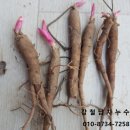 새봄농장(3) 이미지